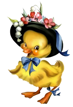 Canard de Rosalie